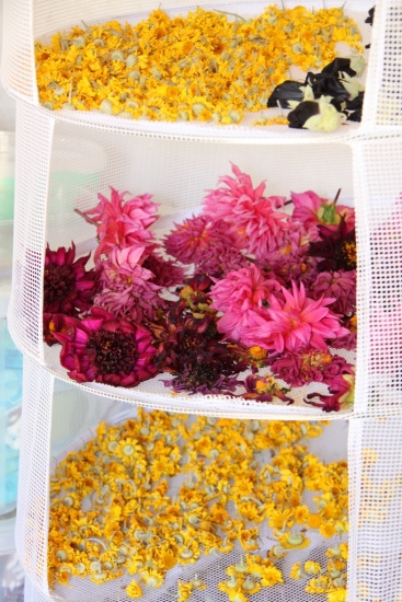 drying flowers for dyeing